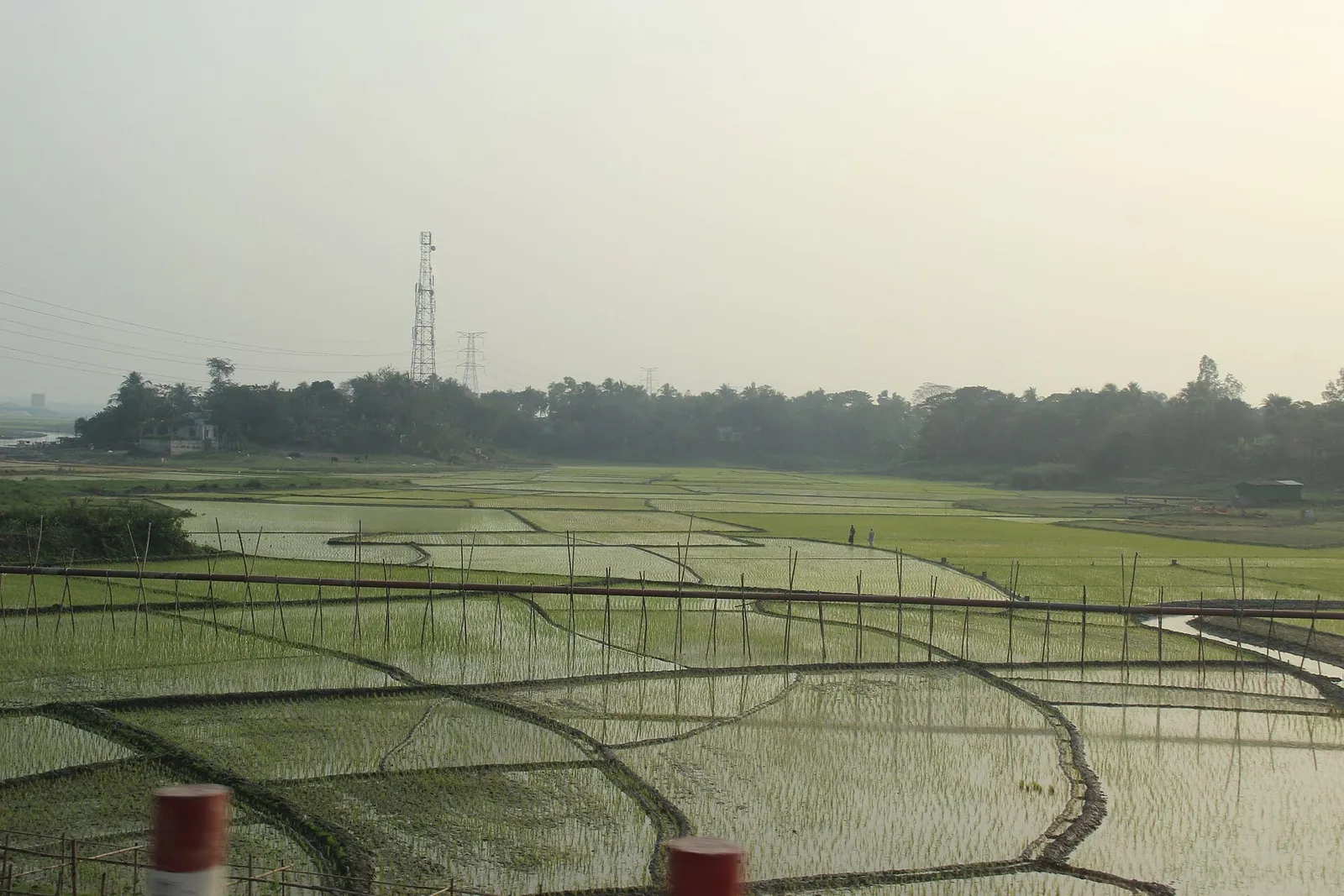 গ্রামবাংলার মাঠ