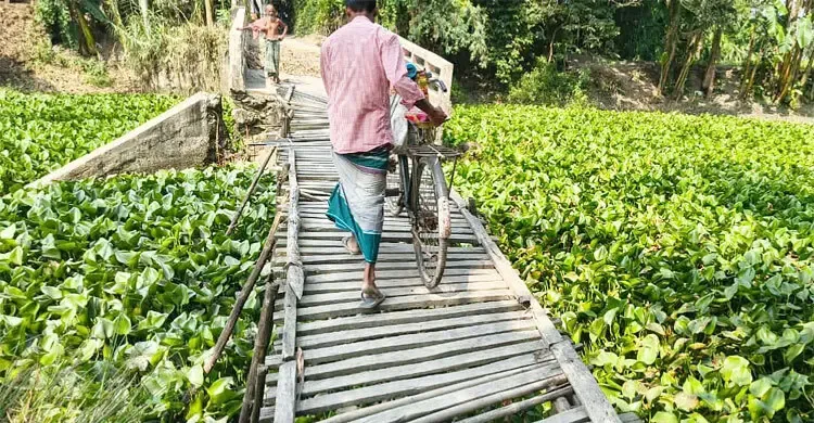 চিলমারীতে ভাঙা সেতু মেরামত হয়নি নয় বছরেও, ঝুঁকিতে চলাচল
