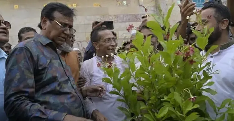 নিউমার্কেটের ফুটপাত দখলমুক্ত করে গাছের টব বসাল ডিএসসিসি