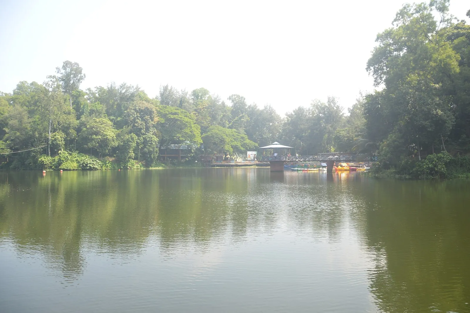 চট্টগ্রামের ফয়’স লেক