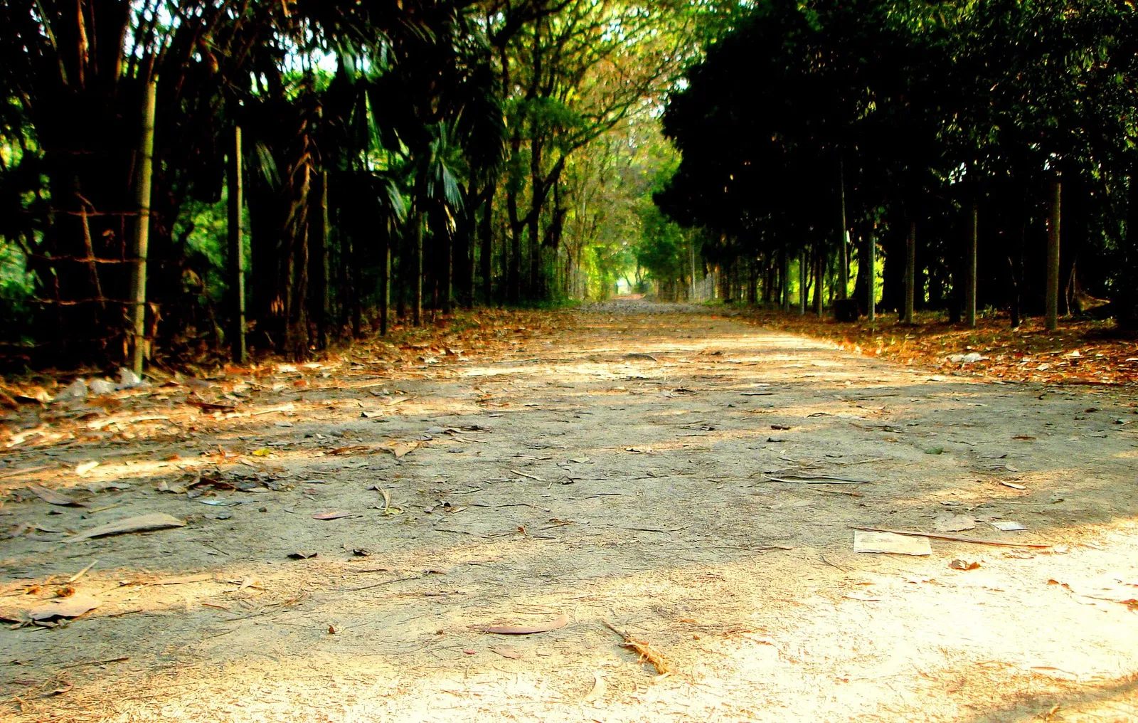 জাহাঙ্গীরনগর বিশ্ববিদ্যালয় ক্যাম্পাস
