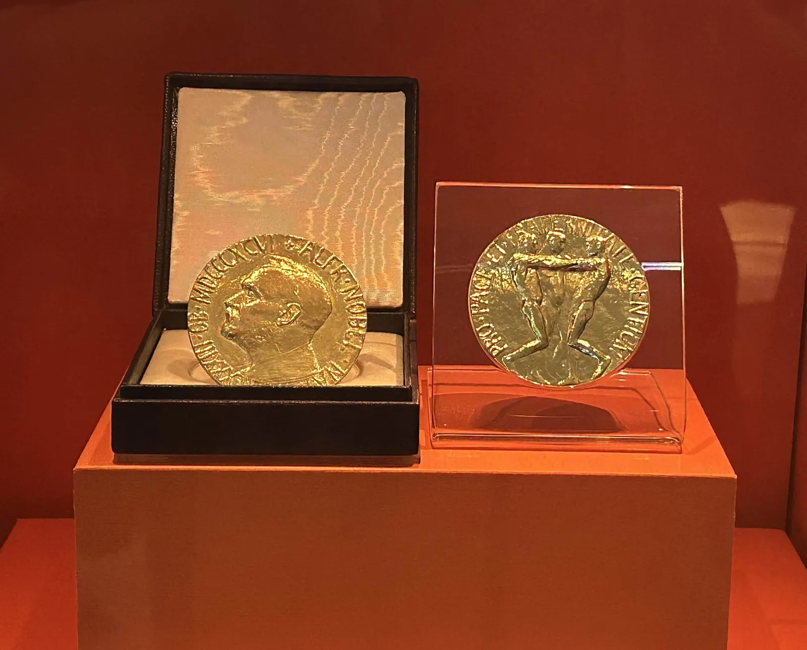 নোবেল শান্তি পুরস্কারের পদক