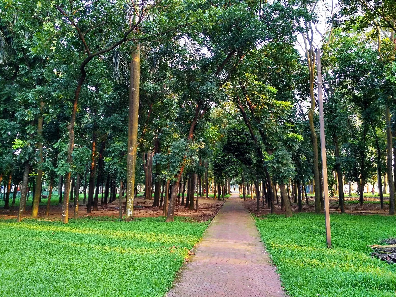 রাজধানীর সোহরাওয়ার্দী উদ্যান