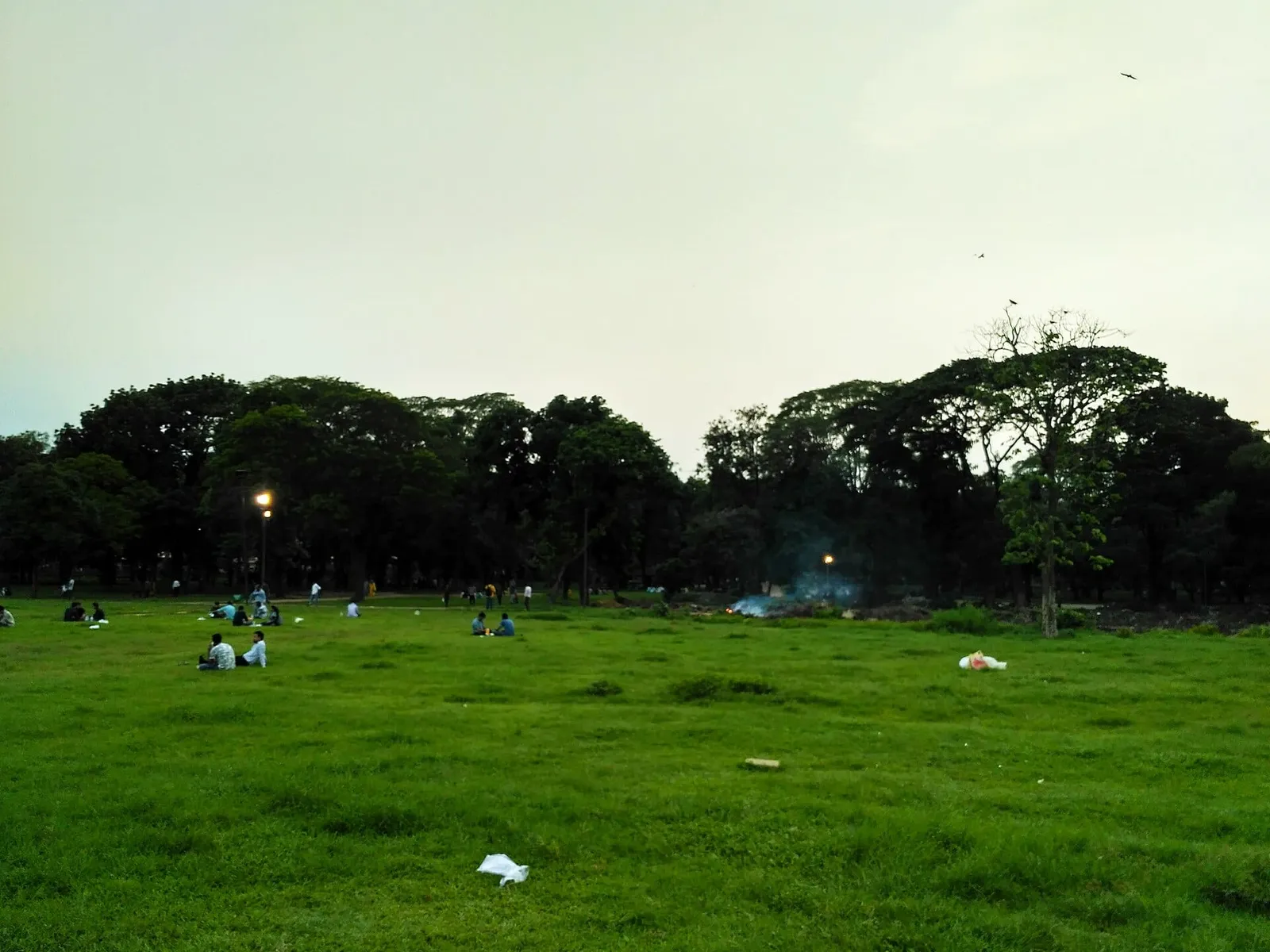 সোহরাওয়ার্দী উদ্যানের মাঠ